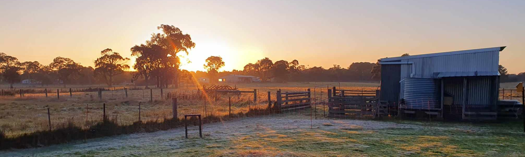 Photo of sunrise at Yintarini Farm